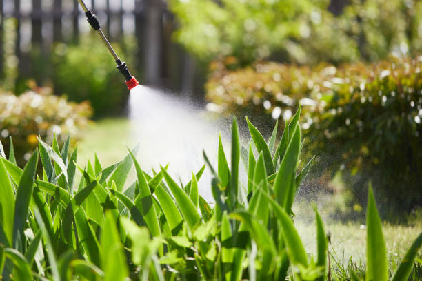24/7 Emergency Mosquito Control experts in Northport, AL